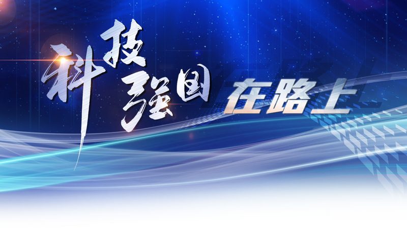 微服务性能优化之道：揭秘单体应用与微服务的差异